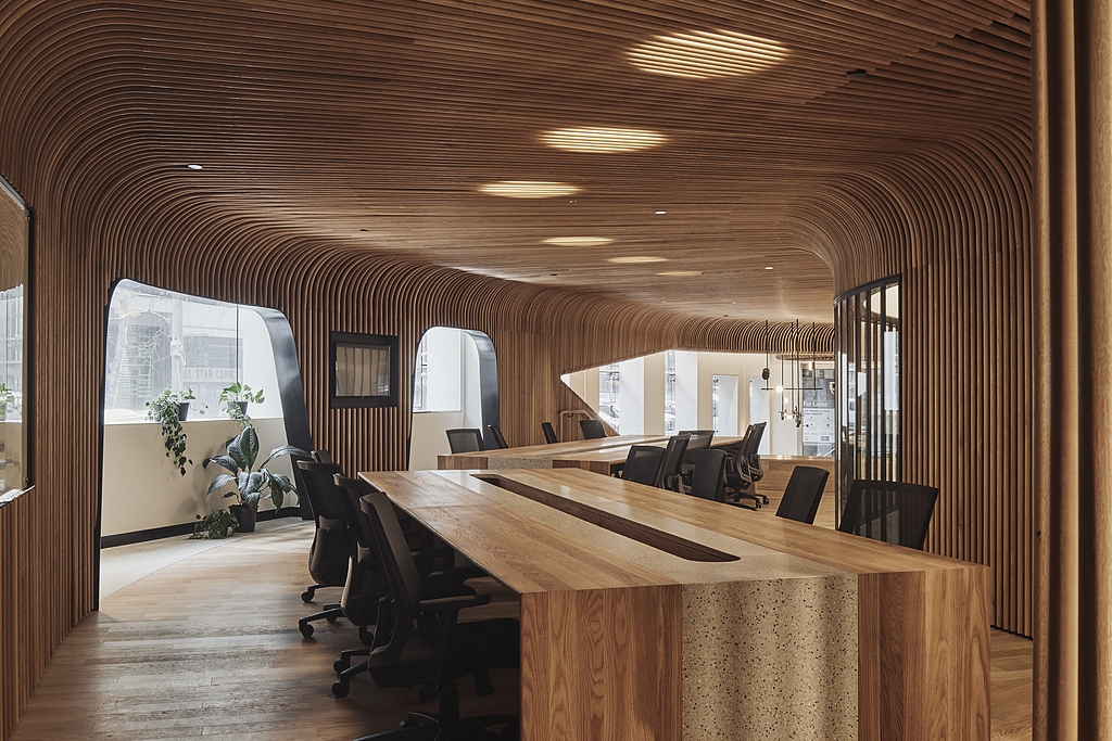 Curved Timber Battens