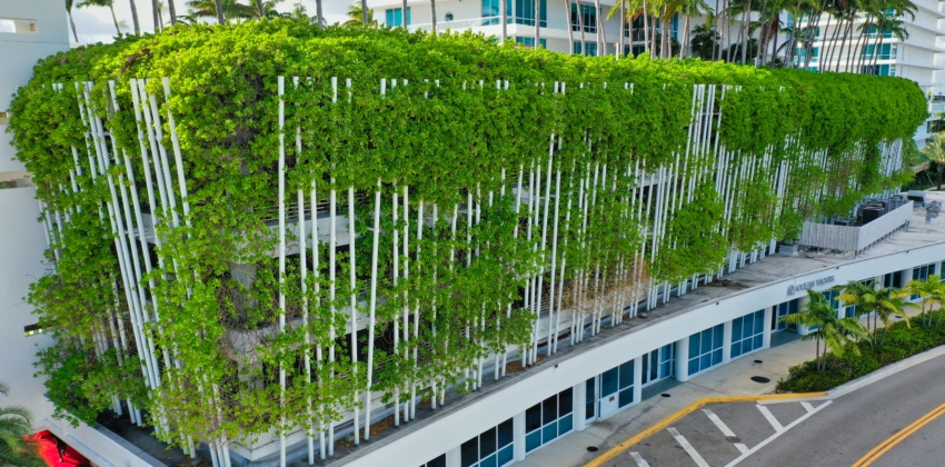 Six Ways a Greening Improves Architecture