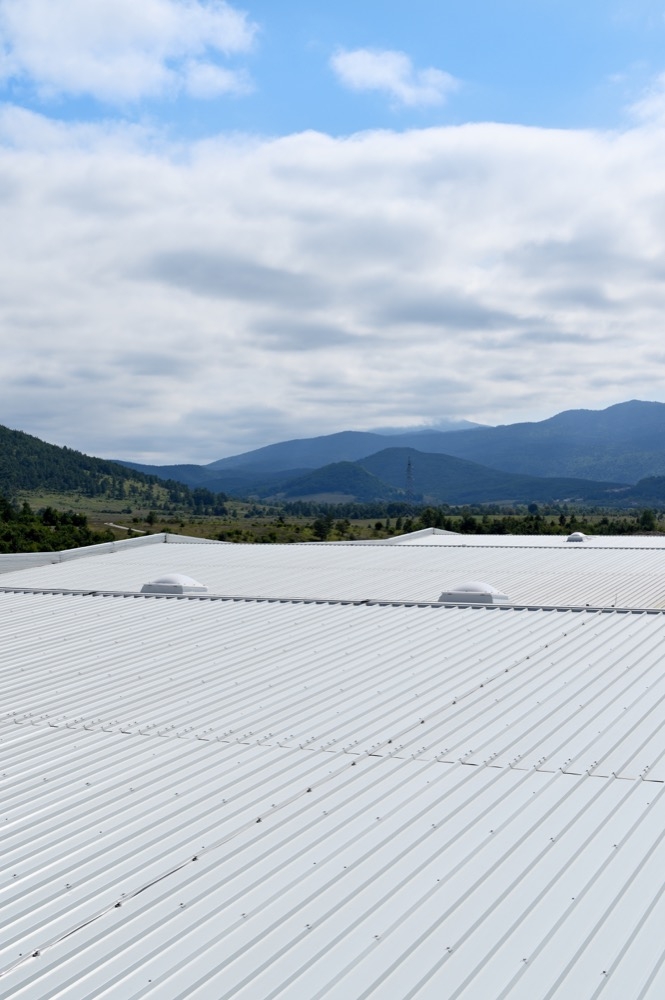 Metal Panels for Roofs - Trimoterm SNV