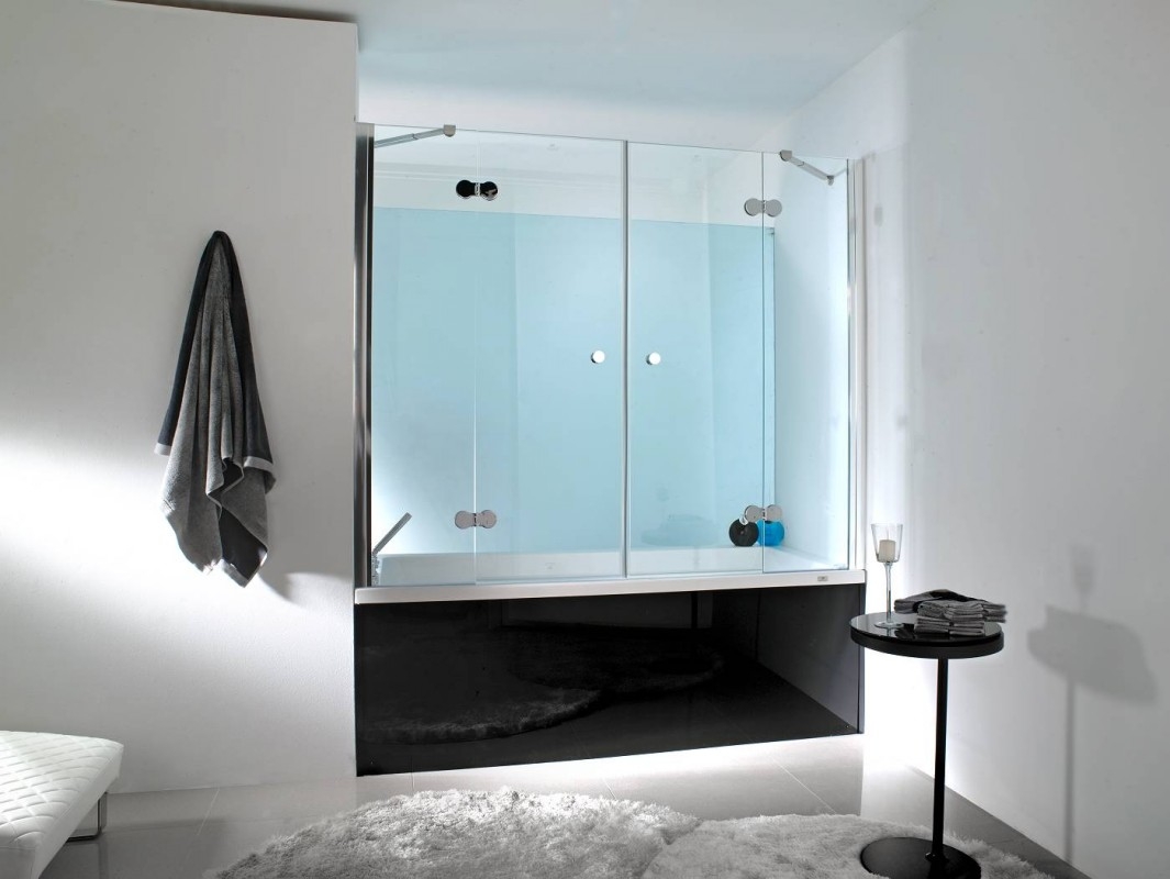 Mampara shower door - Neo