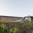 Thermowood Cladding in Lahofer Winery