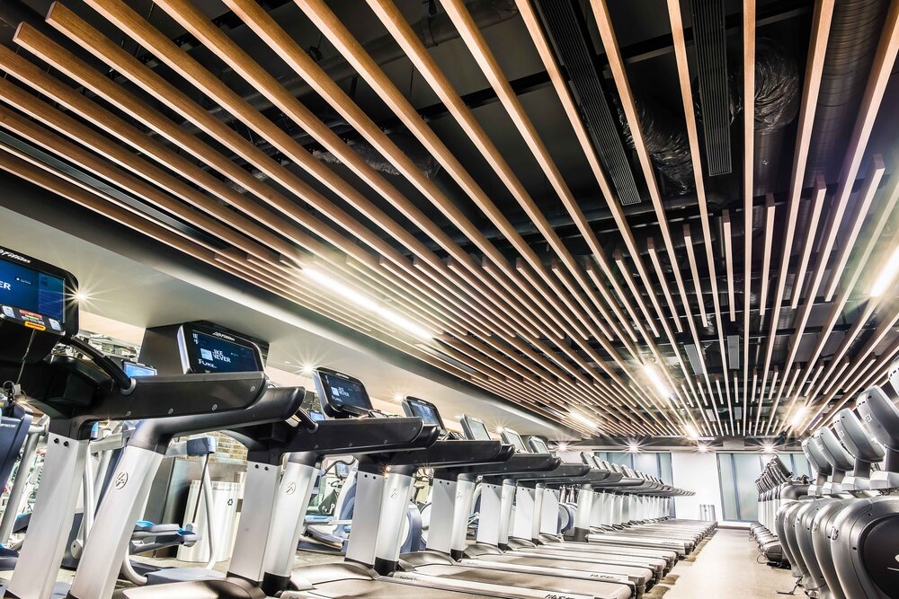 Metal Ceilings - Dauntless