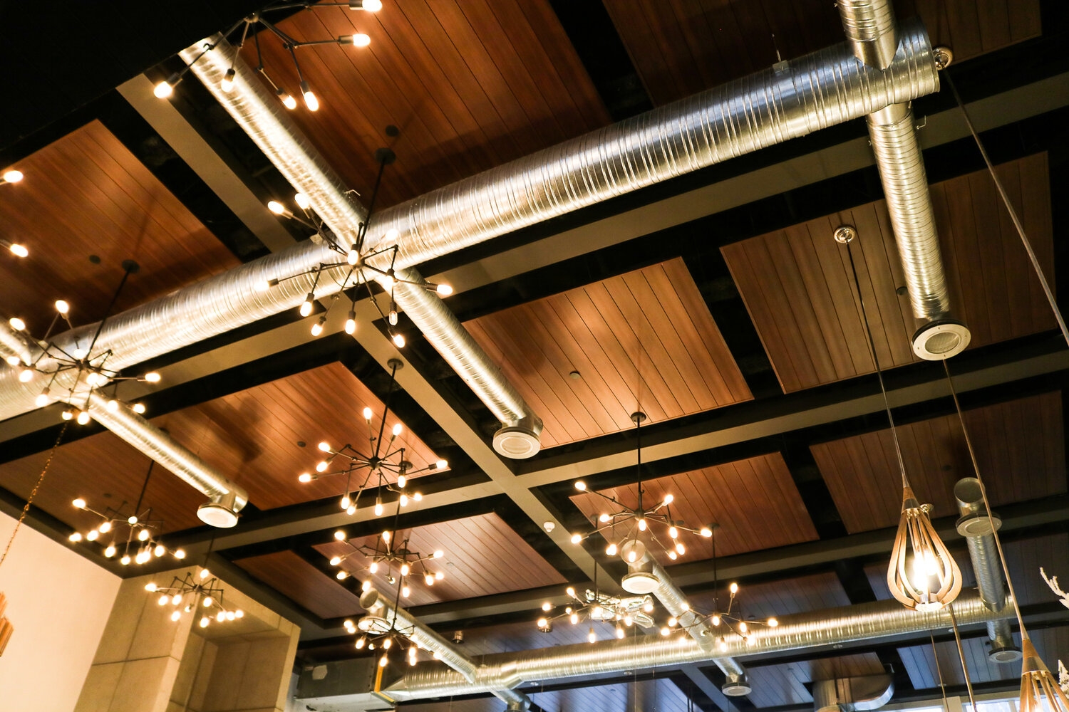 Metal Ceilings - Endura