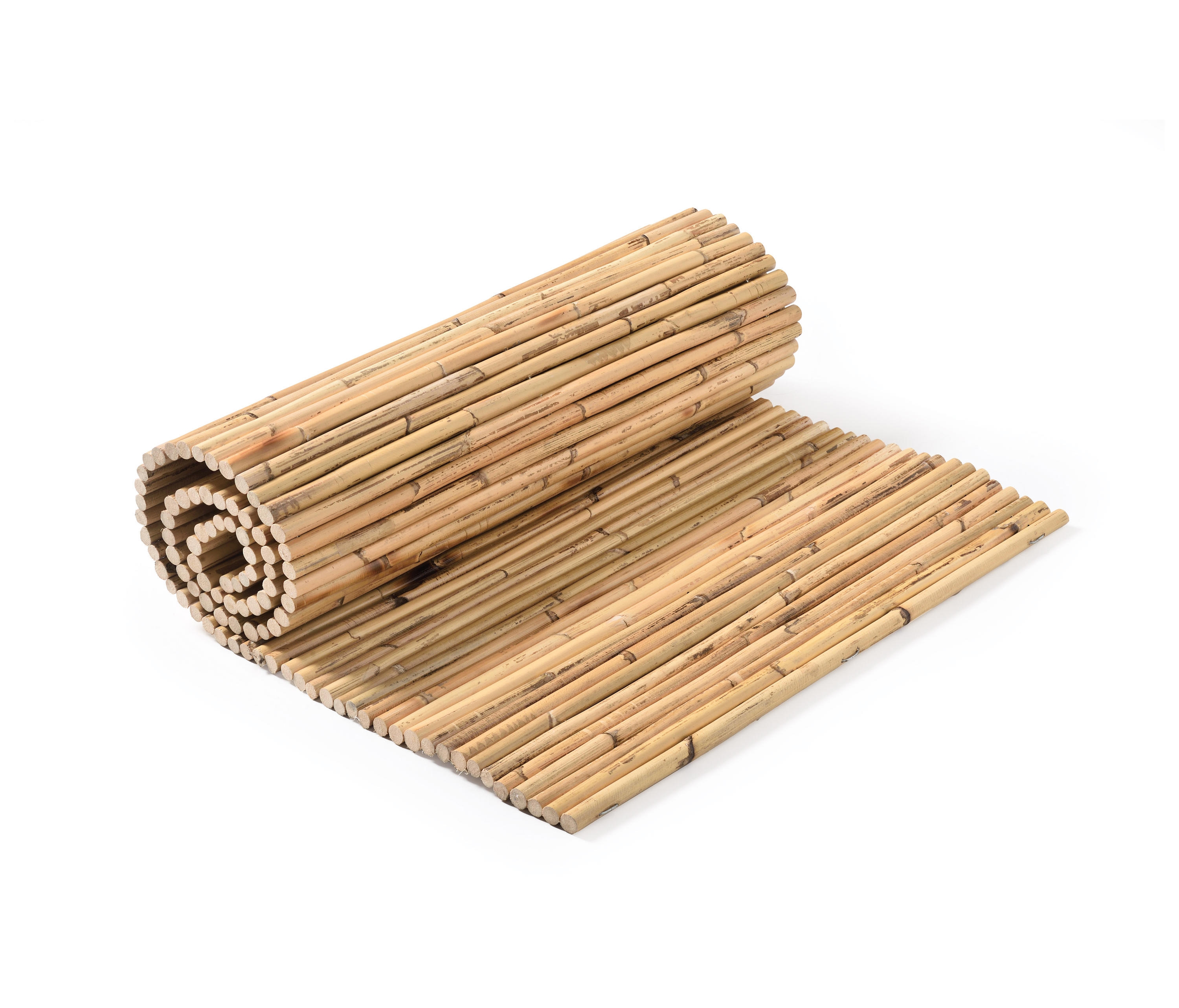 Bamboos - Rattan Bamboo