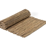 Bamboos - Tonkin Bamboo