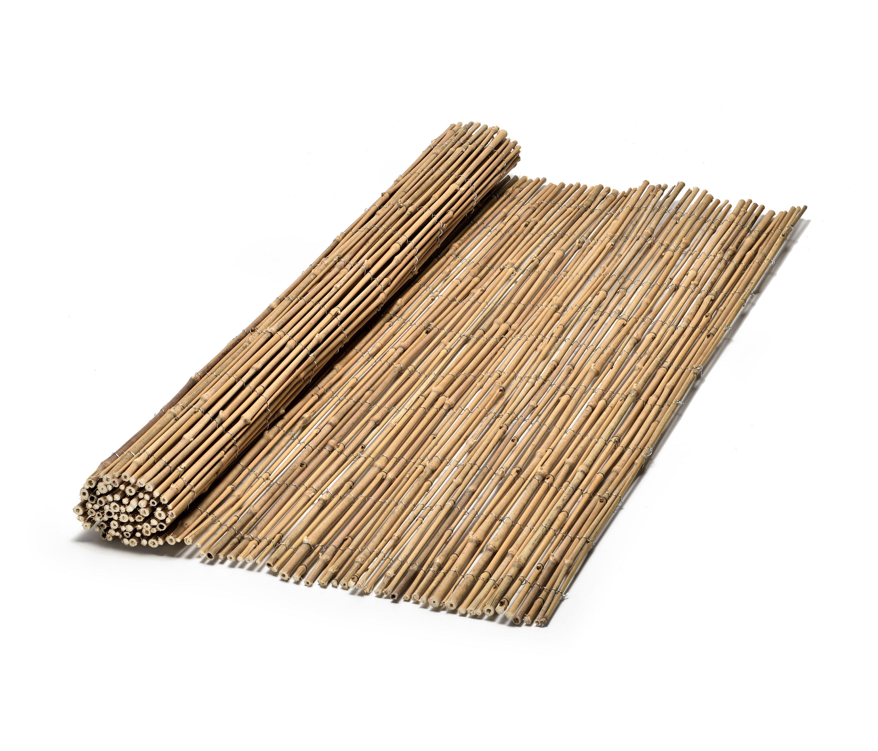 Reeds - Bamboo Ku