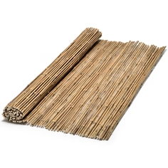Reeds - Bamboo Ku