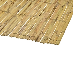 Bamboo Fabrics from Caneplexus