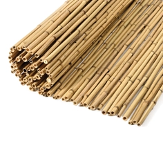 Bamboos - Natural Bamboo