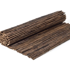 Bamboos - Nigra Bamboo