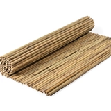 Bamboos - Bamboo Tii