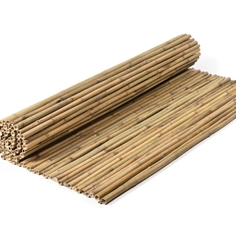 Bamboos - Bamboo Tii