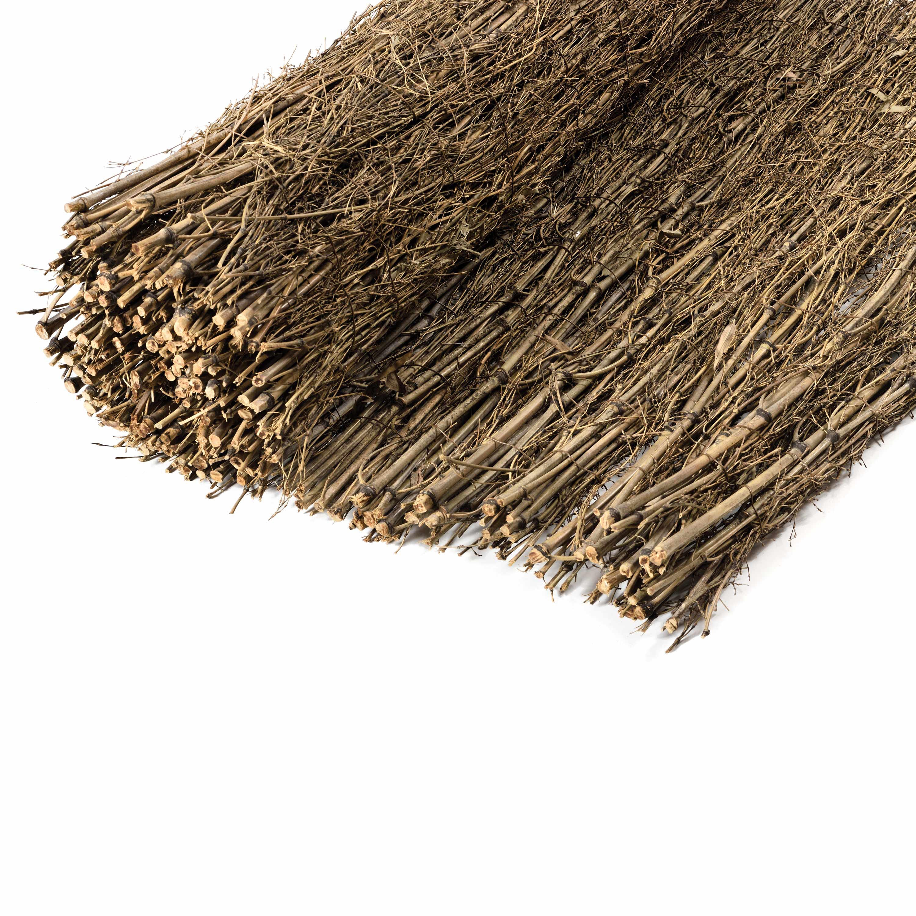 Branches - Bamboo Branches