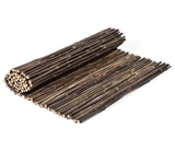 Bamboos - Mahogany Bamboo