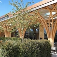 Timber Construction in Cambridge Mosque