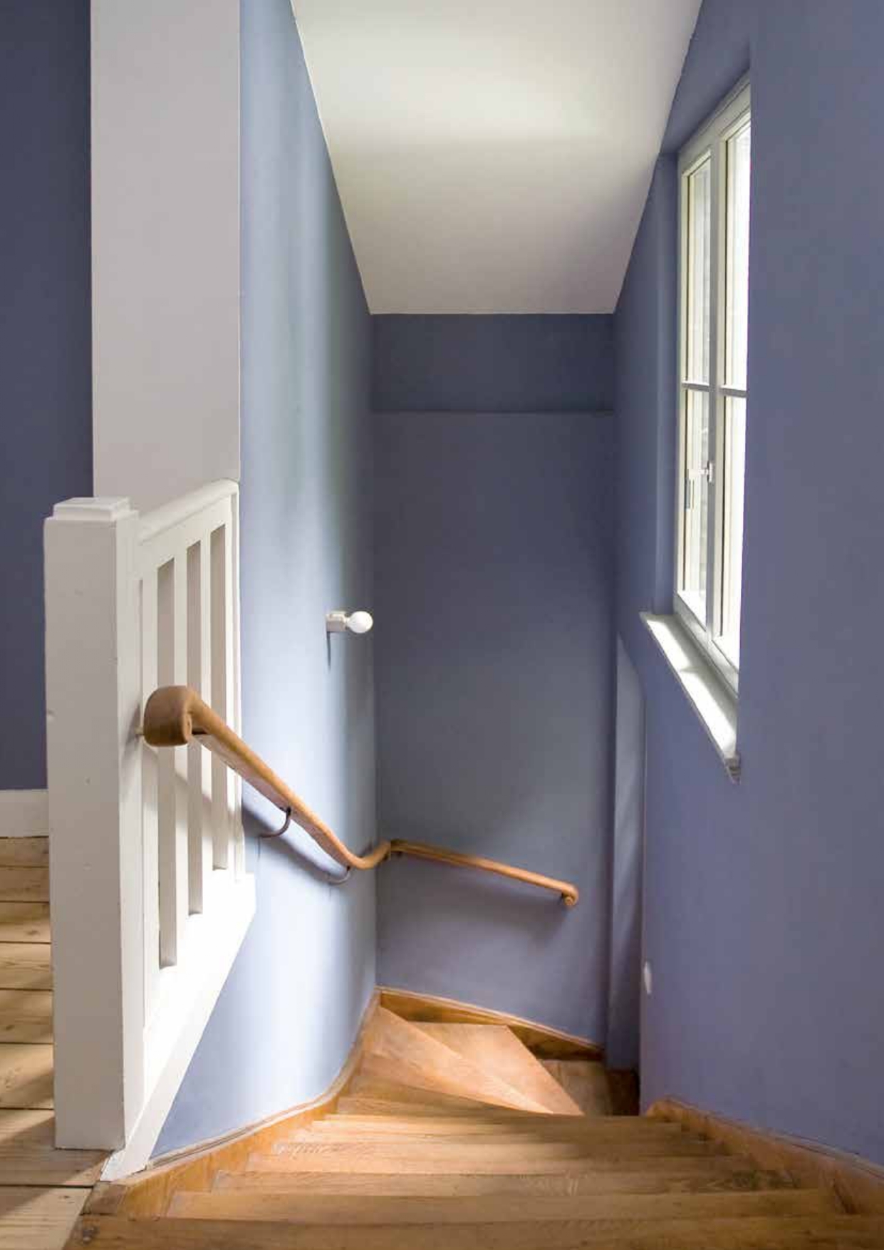 ¿Cómo evitar y tratar hongos en interiores?