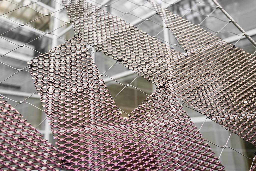 Art Installation with Webnet