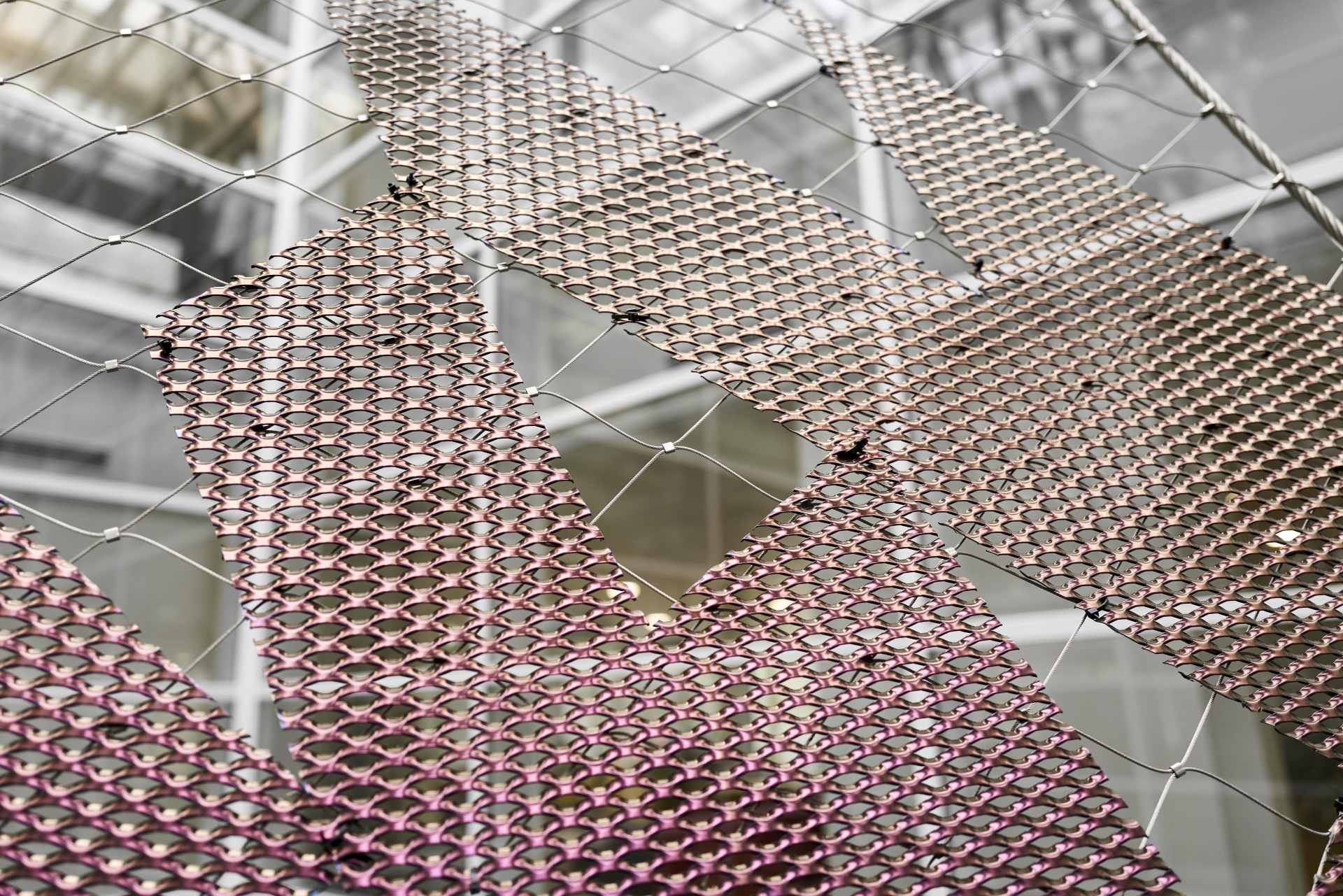 Art Installation with Webnet