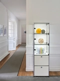 Cabinet and Shelves - Haller E