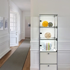 Cabinet and Shelves - Haller E