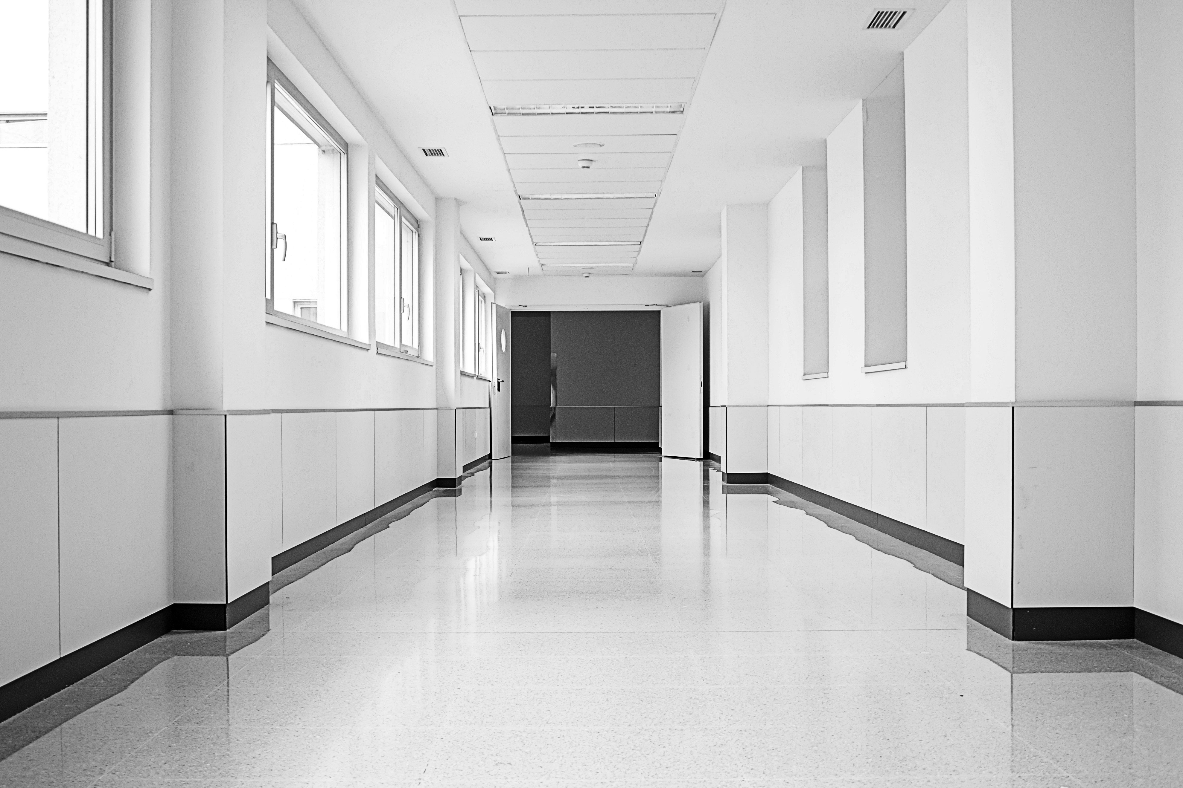 Lámina protectora de muros