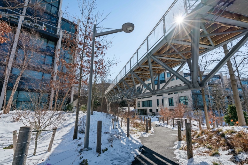 Squibb Bridge NYC with Webnet