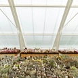 Translucent Building Elements in Rooftop Greenhouse
