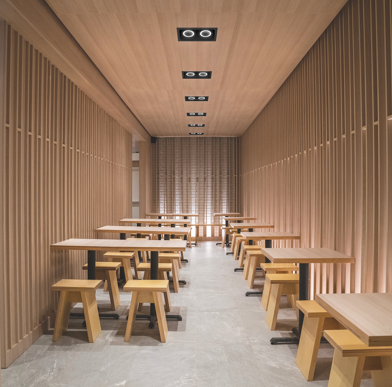 Ceiling Recessed Lights - Outline