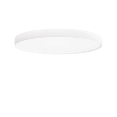 Ceiling Light - Isola Surface Mount