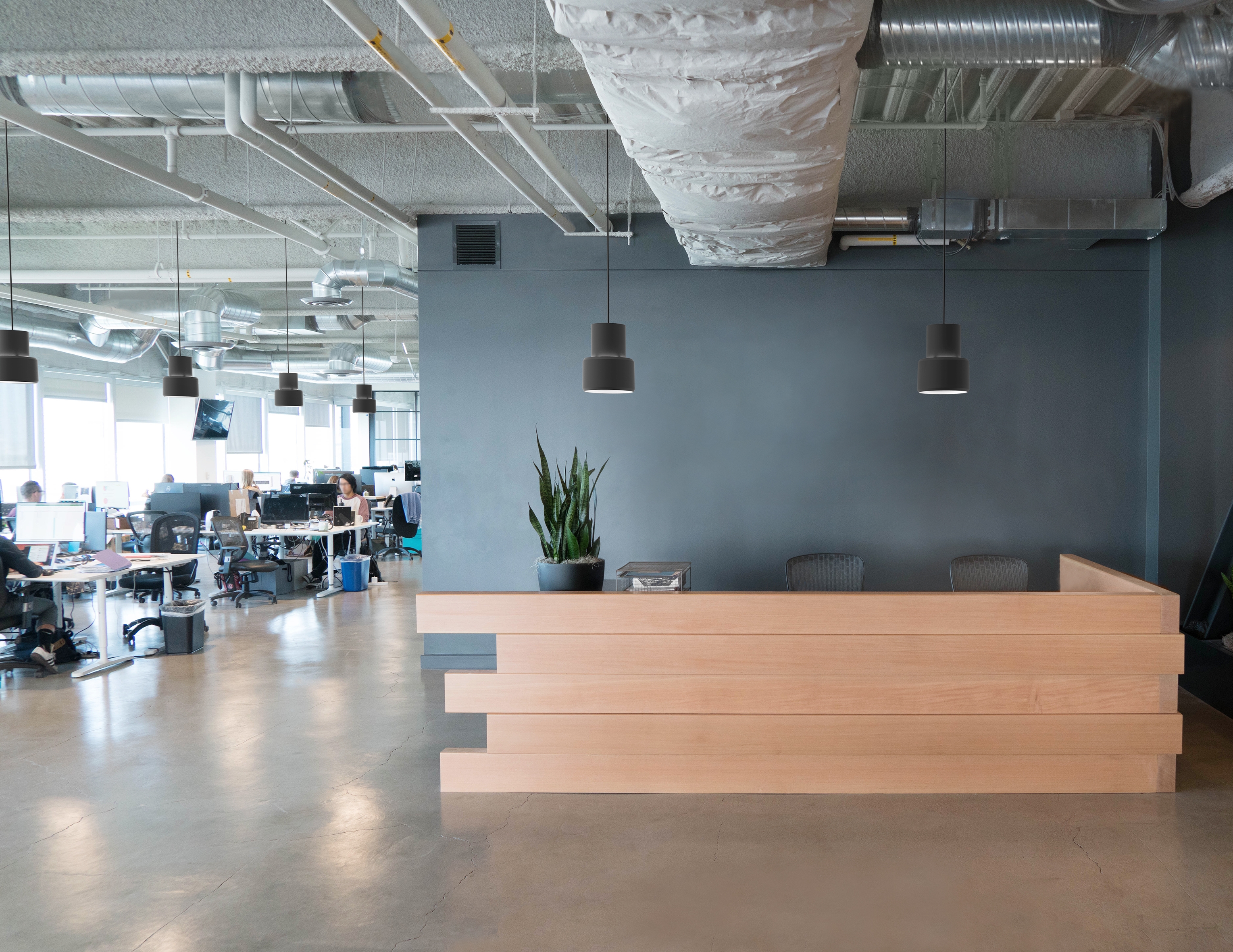 Suspended Lights - Stella