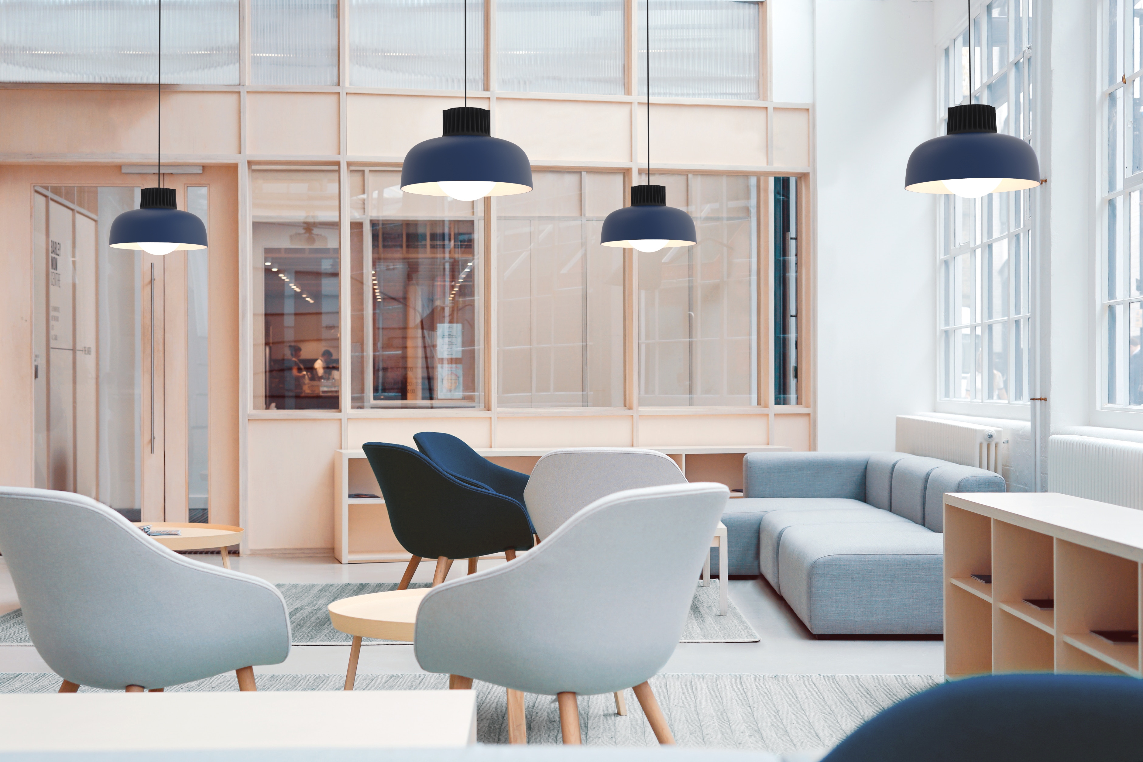 Suspended Lights - Bloom