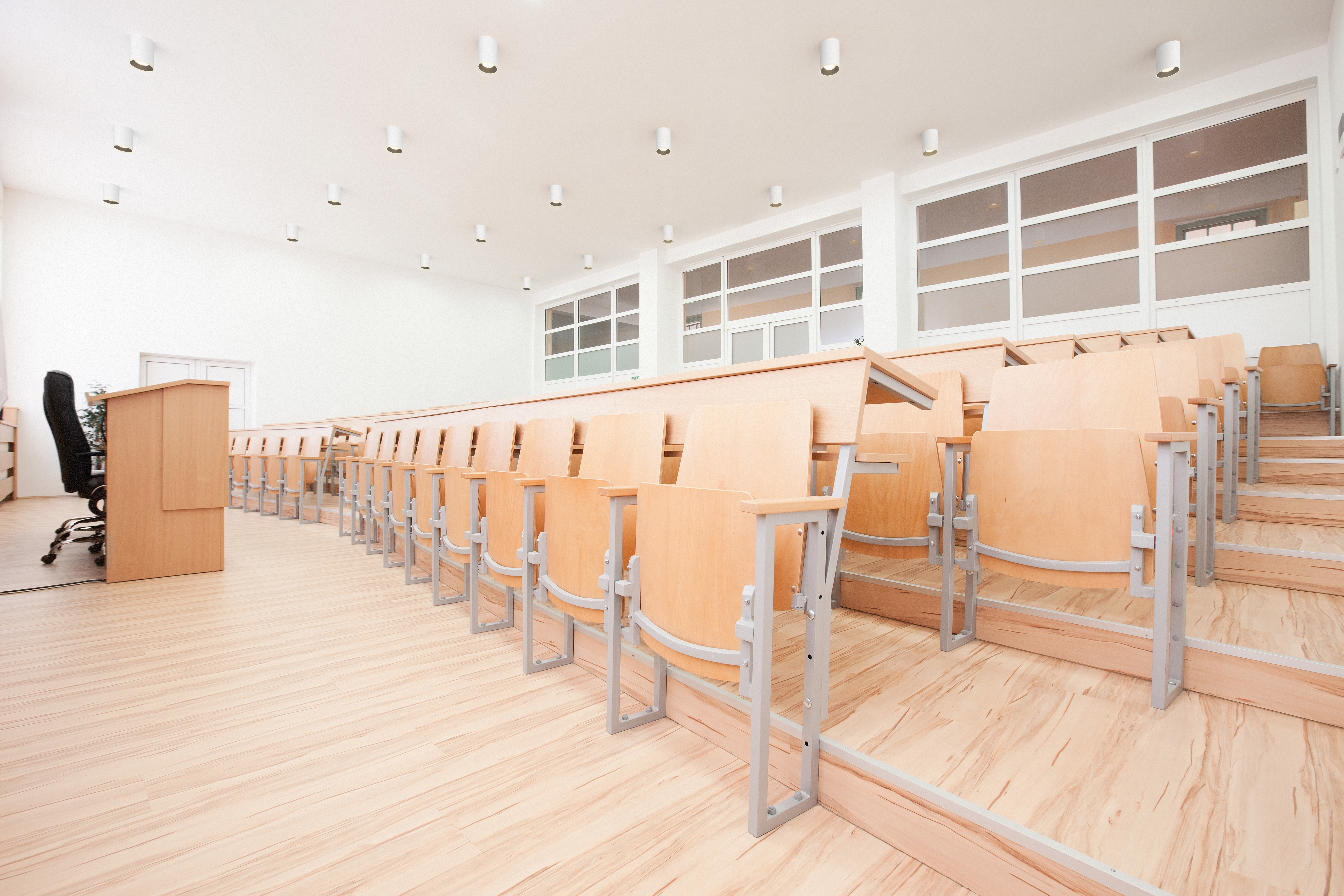 Ceiling Surface Lights - Scout