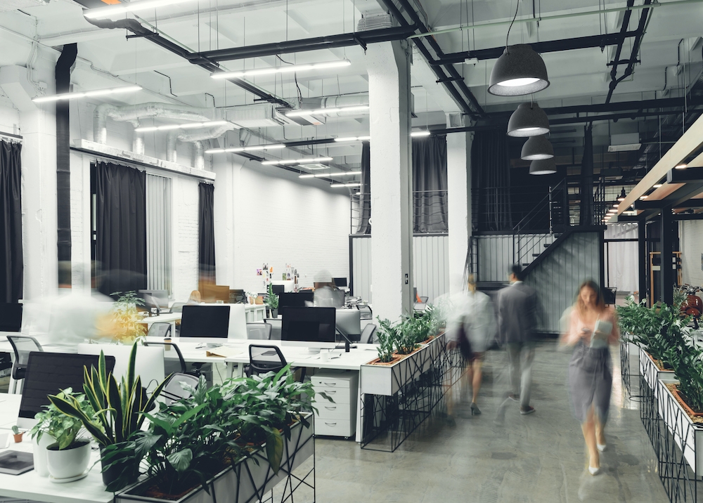 Suspended Lights - Knit