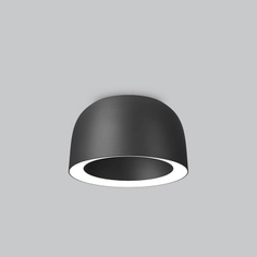 Ceiling Surface Lights - Twin
