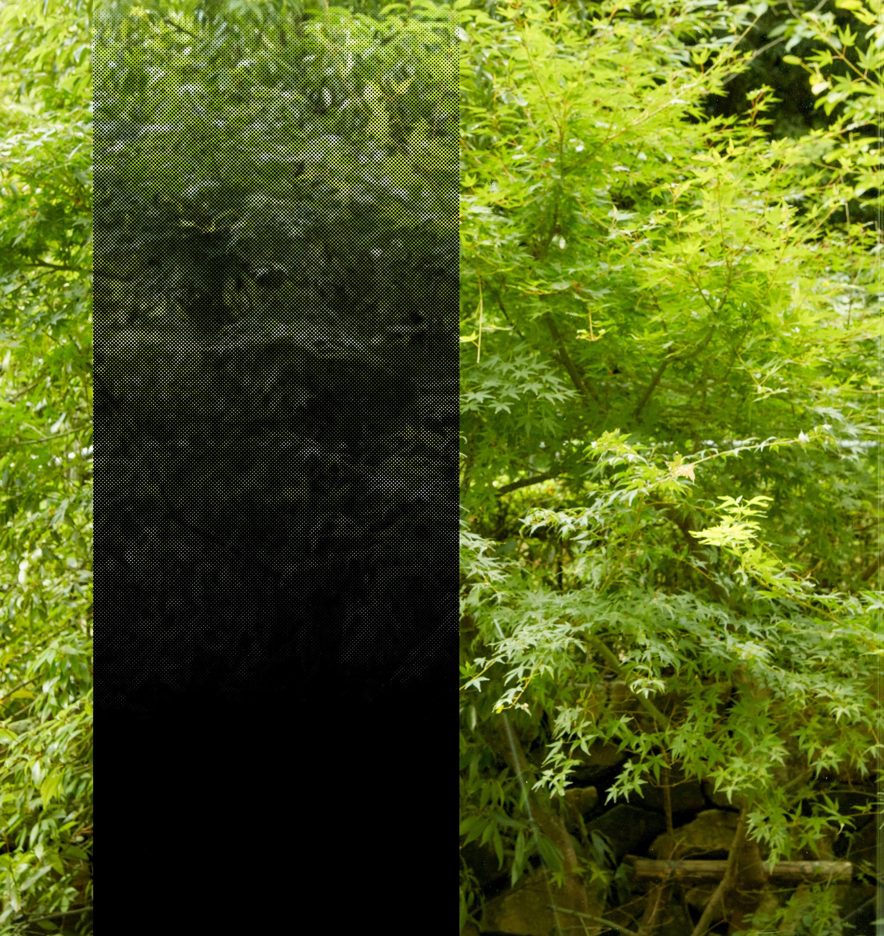 Glass Finish - FASARA™ Gradation