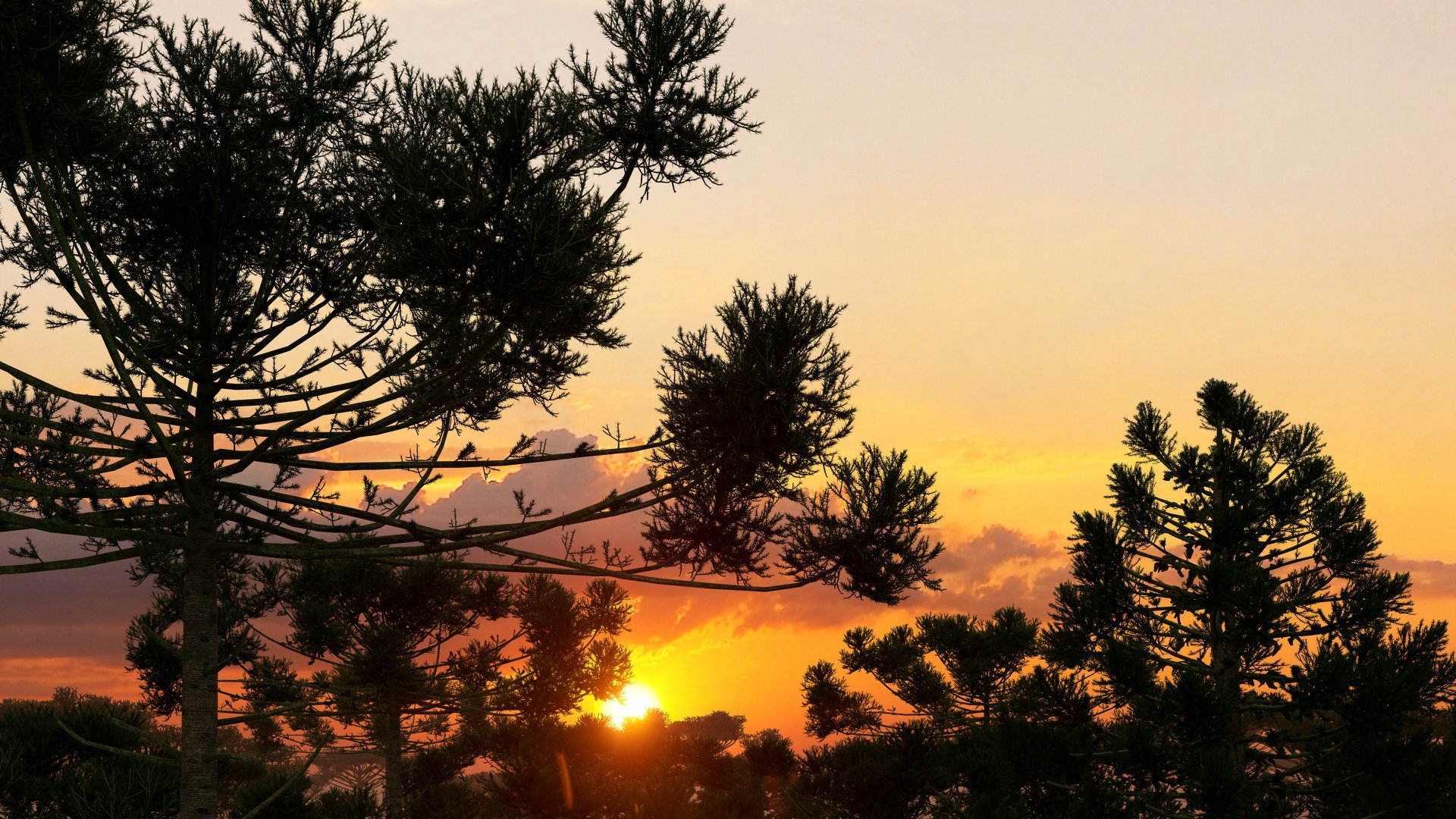 How to Make Rendering Fun