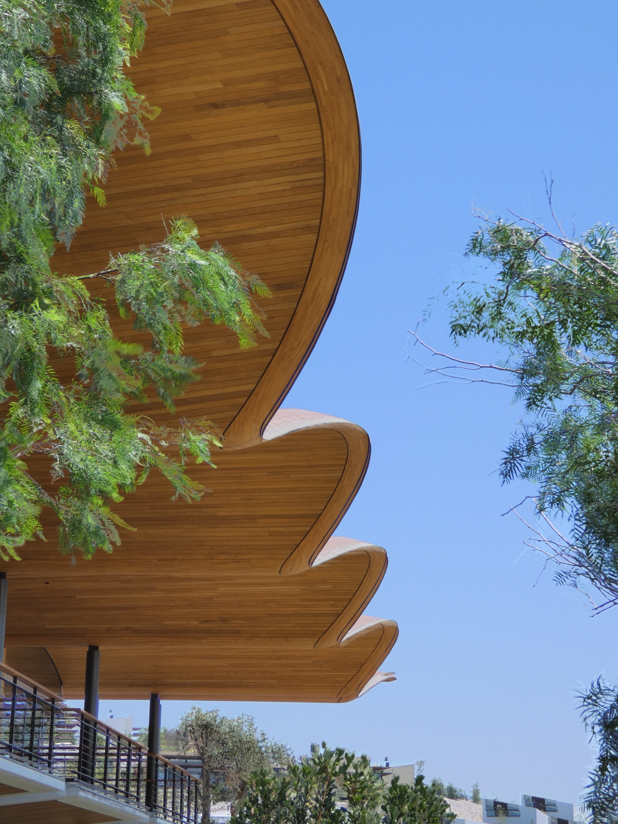 Free Form Structures for Wood Projects