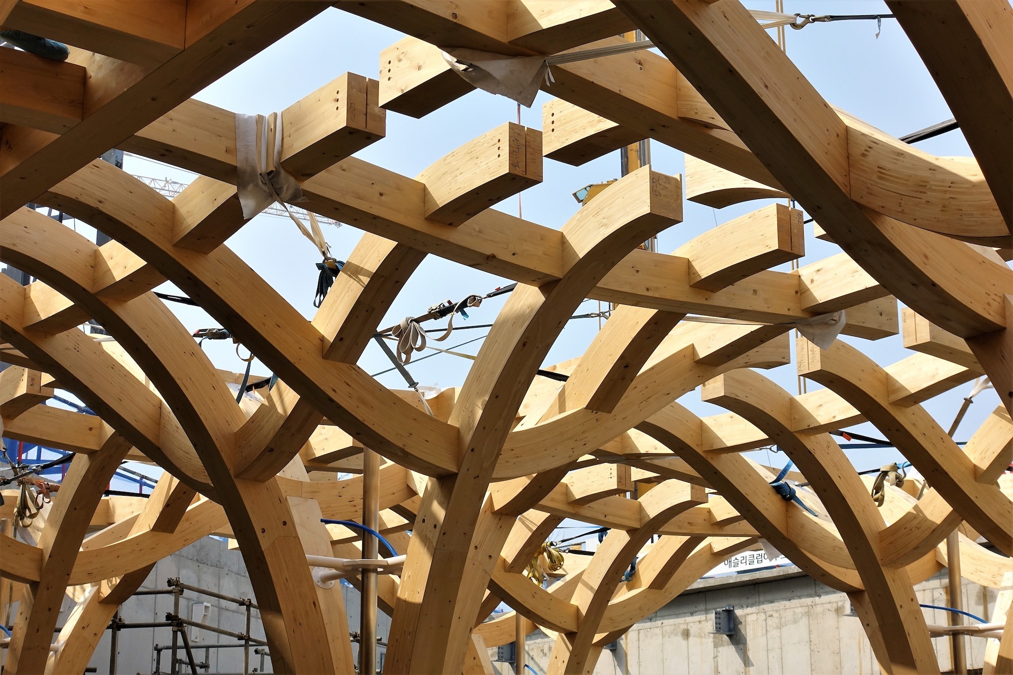 Assembly and Logistics of Wood Projects