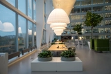 Pendant Lamps in the Deloitte Headquarters at the Edge Building