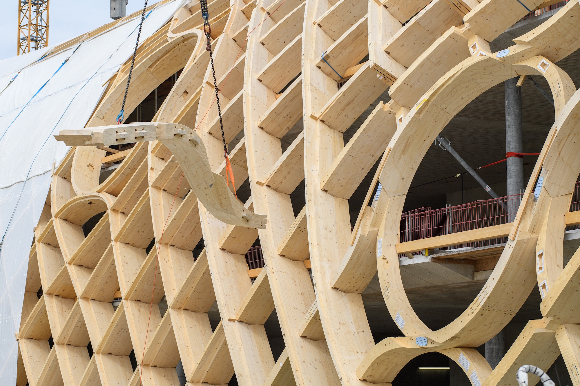 Free Form Structures for Wood Projects