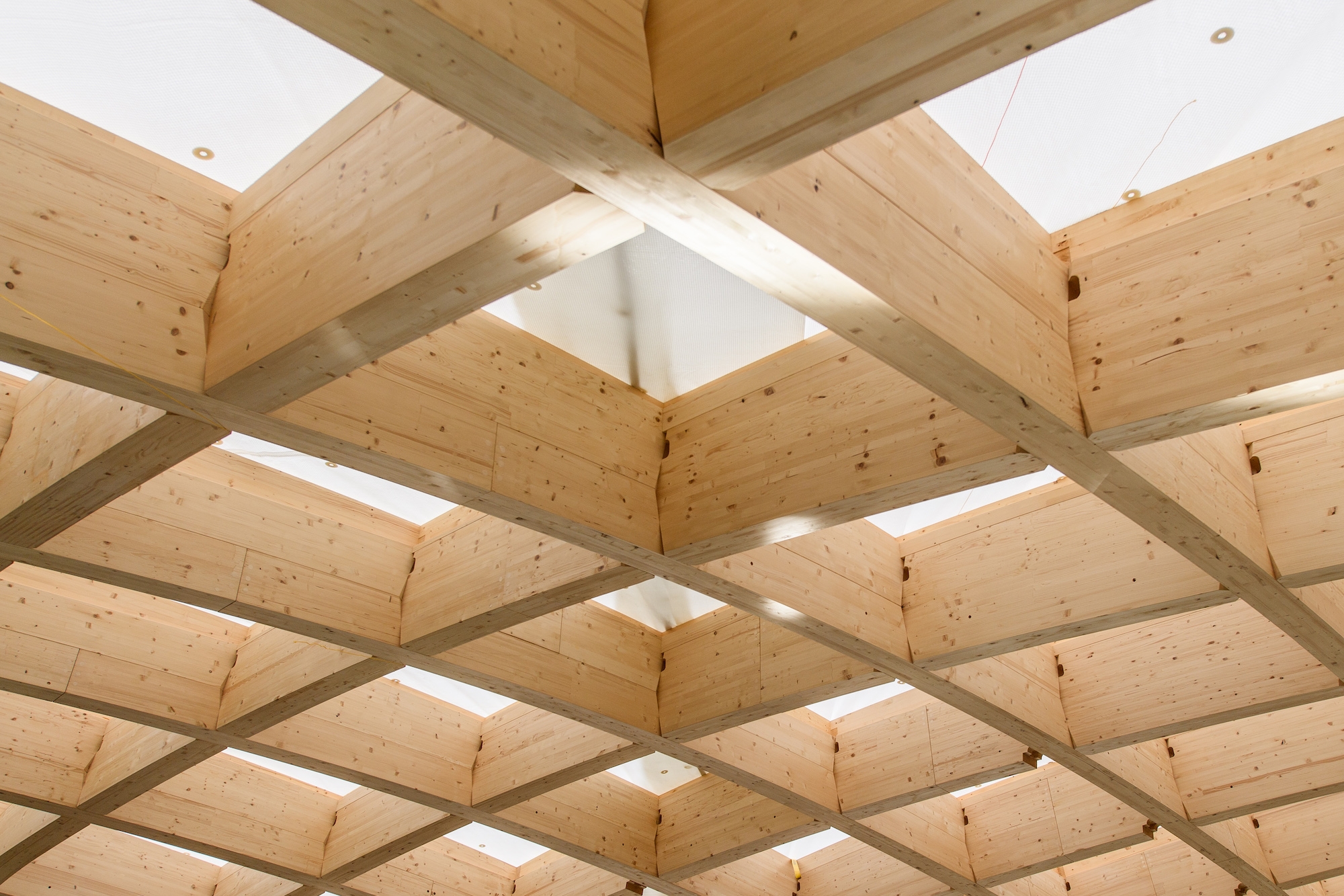 Timber Construction of Swatch Headquarters