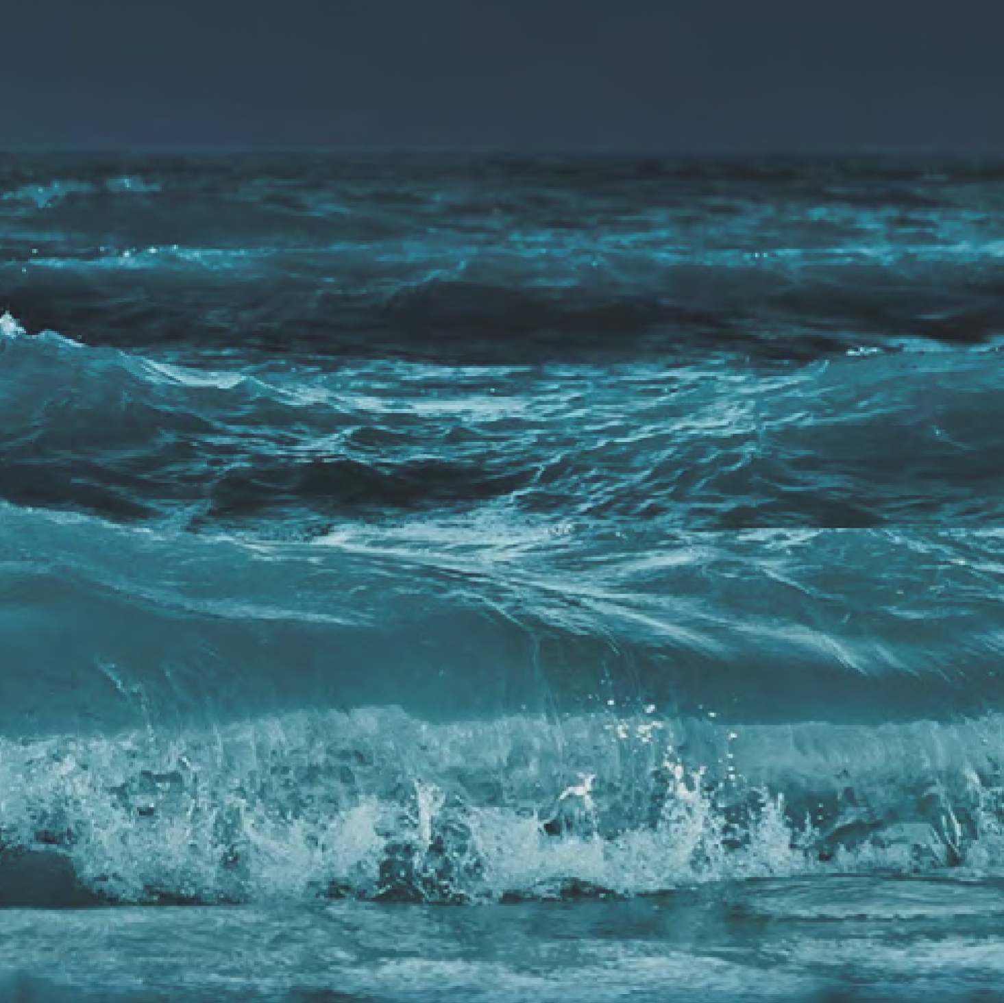 Carpete Modular Net Effect Collection