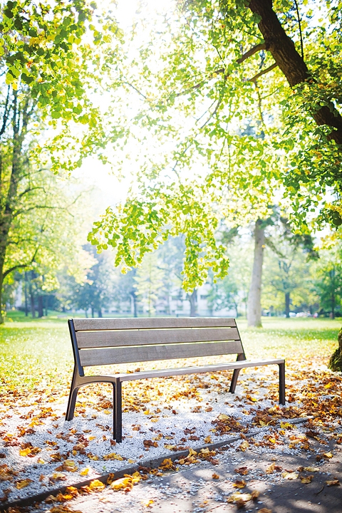 Park Bench - Miela