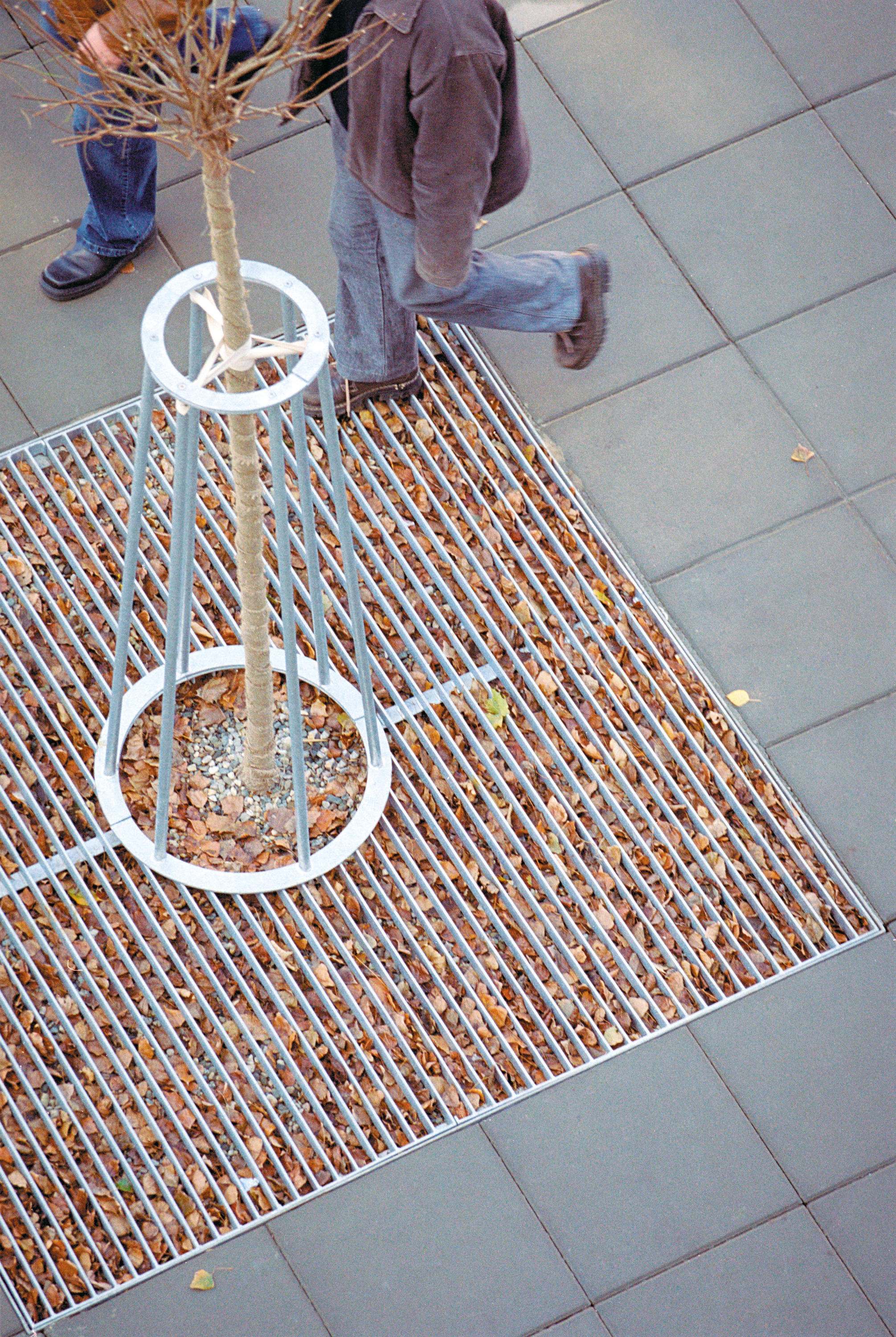 Tree Guard - Arbottura