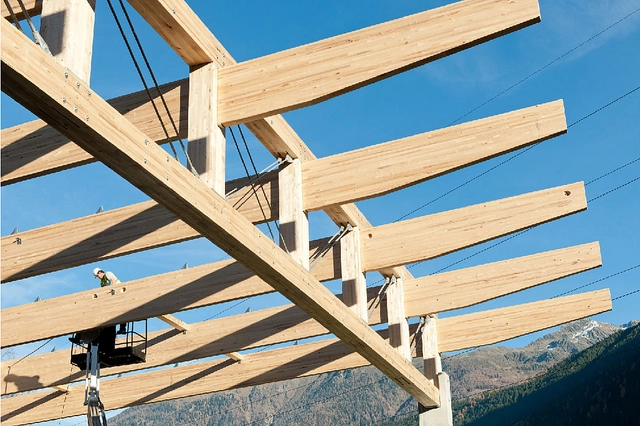 Glued Laminated Timber - Birch