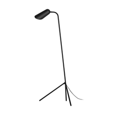Floor Lamp - Curious
