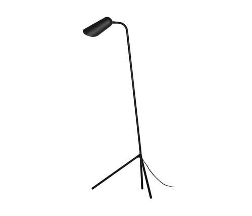 Floor Lamp - Curious