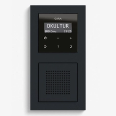 Radio with Speaker - RDS Flush-Mounted