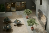 Glazed Porcelain Tiles - Wildwood