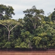 Acabado Amazona para Melamina MDP Primacor - SOLUM